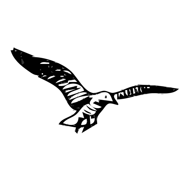 Herring Gull vector clip art Free SVG